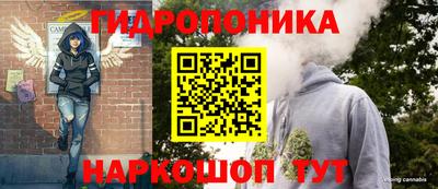 СК Обь