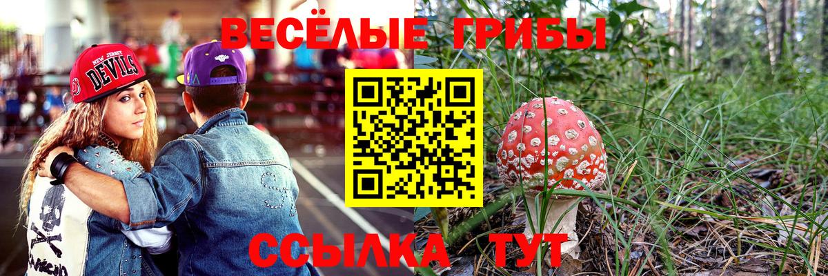 Галлюциногенные грибы мухоморы Углич